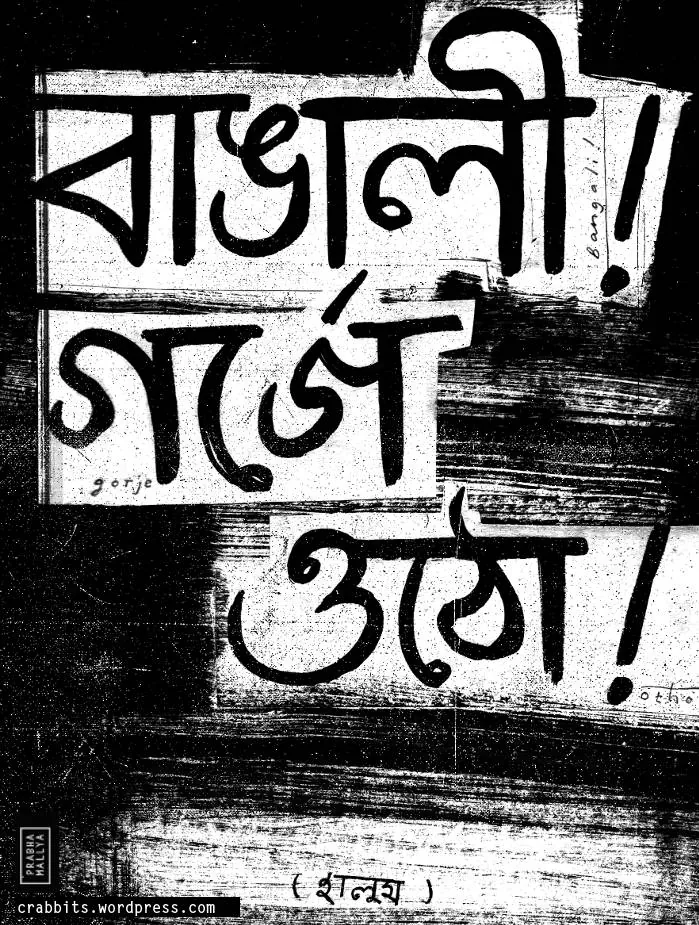 Murder cover